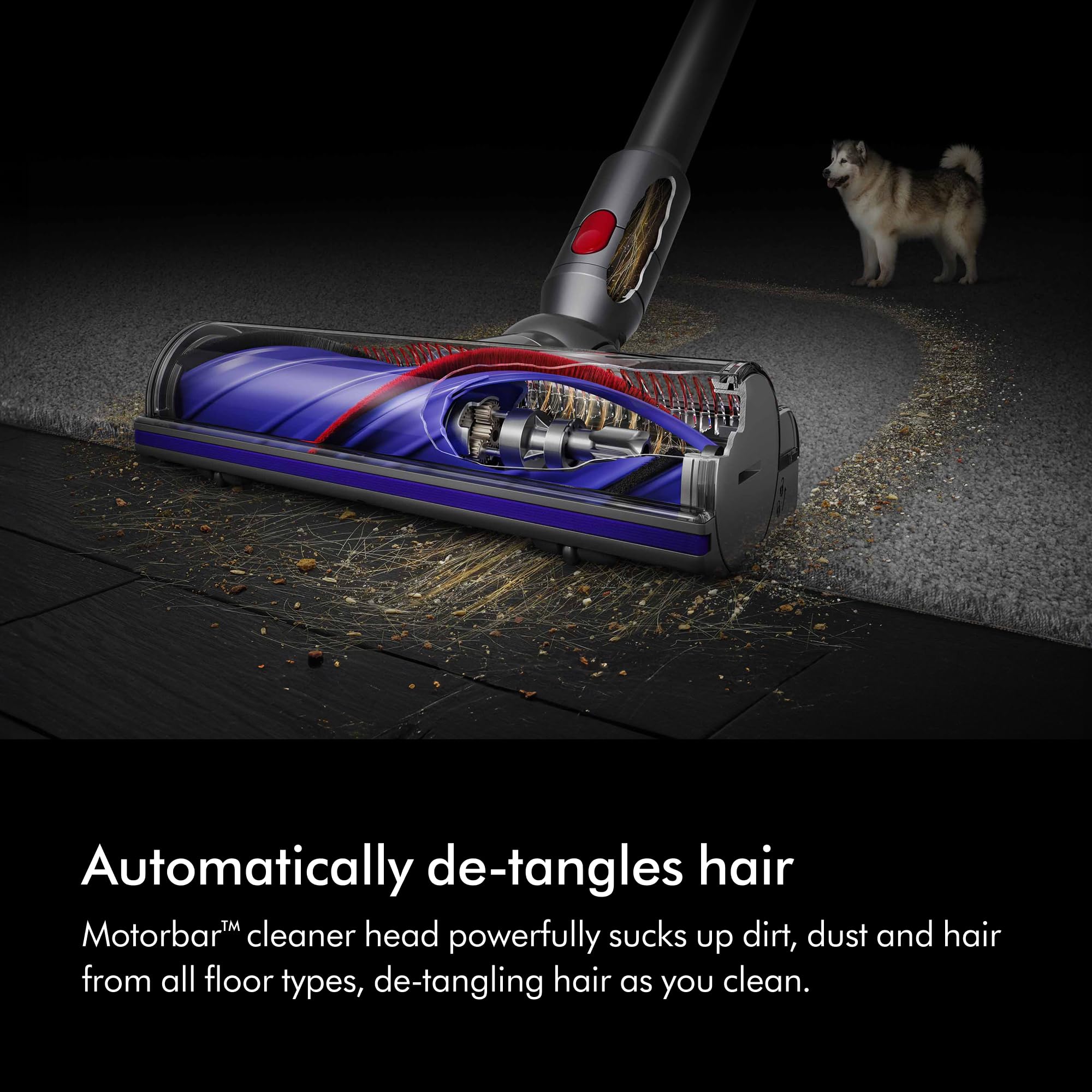 Dyson V8 Advanced Cordless Vacuum Cleaner, 130 AW, up to 40 min runtime, De-tangling Motorbar, removes Pet hair, cordless handheld